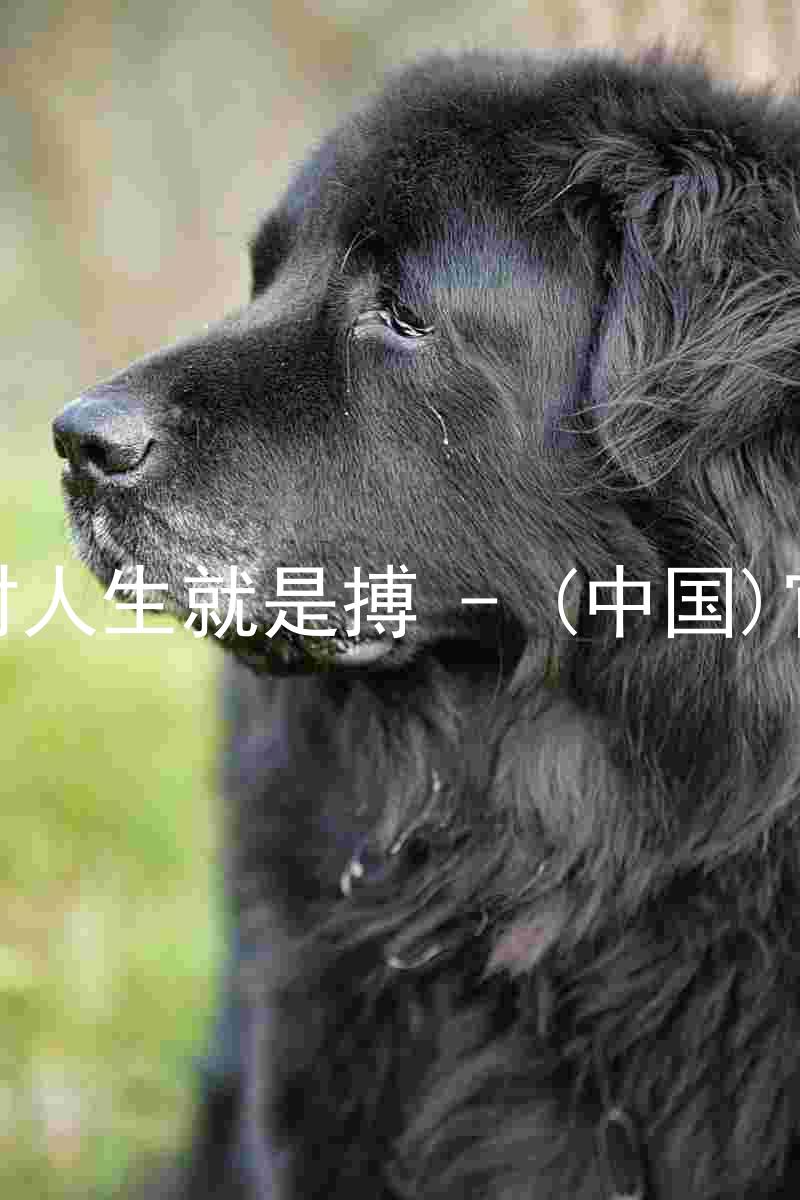 尊龙凯时人生就是搏 - (中国)官方网站