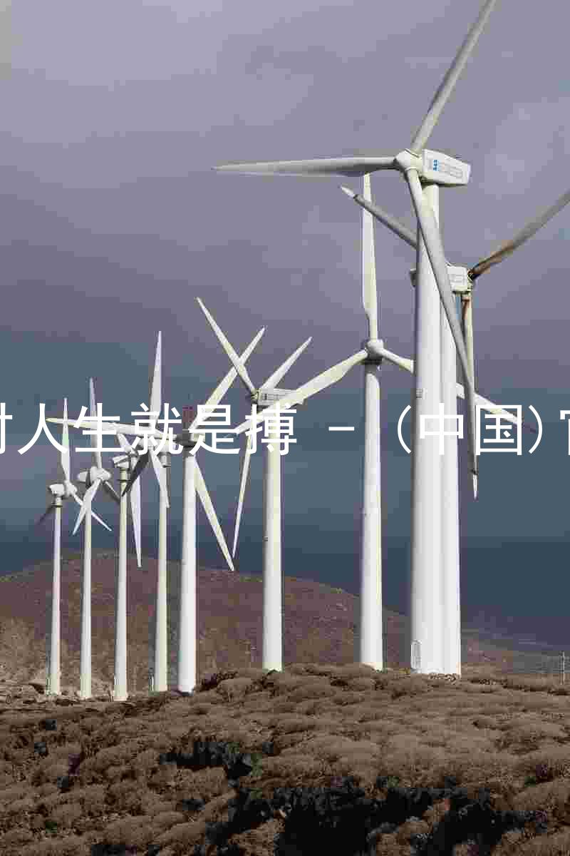尊龙凯时人生就是搏 - (中国)官方网站
