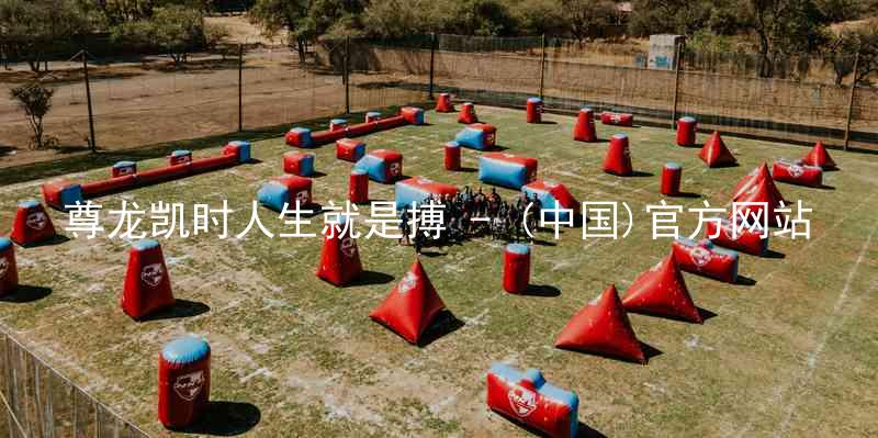 尊龙凯时人生就是搏 - (中国)官方网站