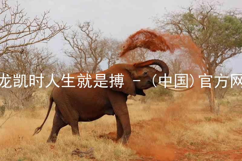 尊龙凯时人生就是搏 - (中国)官方网站