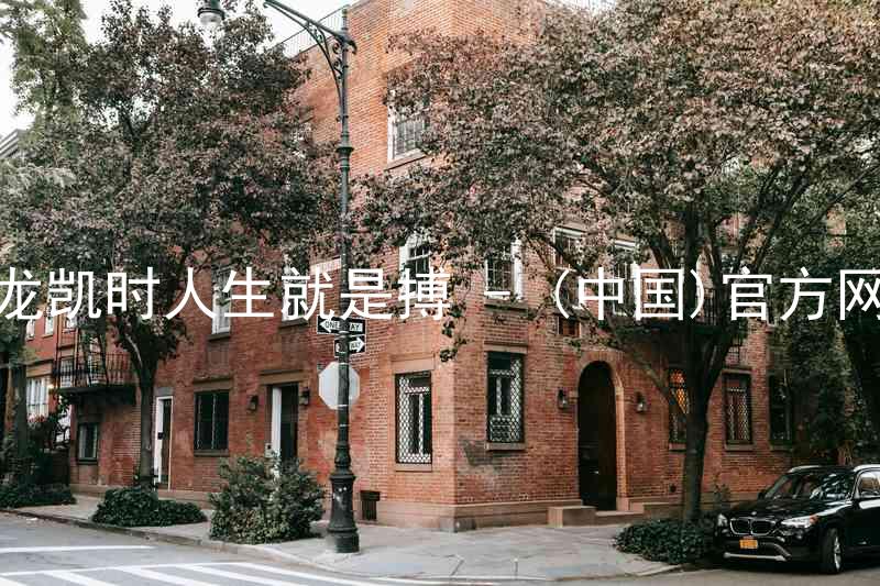 尊龙凯时人生就是搏 - (中国)官方网站